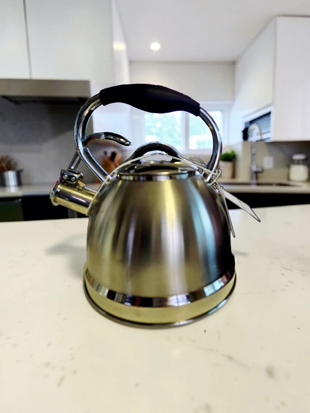 NEW Well Equipped Kitchen Stainless Steel 2.6 Quart Whistling  Kettle NWThttps:/